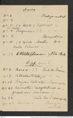 Nachlass Franz Steindachner, Liste (zu Inv.Nr. 537.03) von Prinzessin Therese von Bayern an Franz Steindachner, Inv.Nr. 537.09, Seite 3